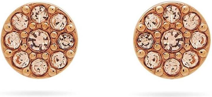 Image du produit Fossil Vieux Paillettes (Métal)