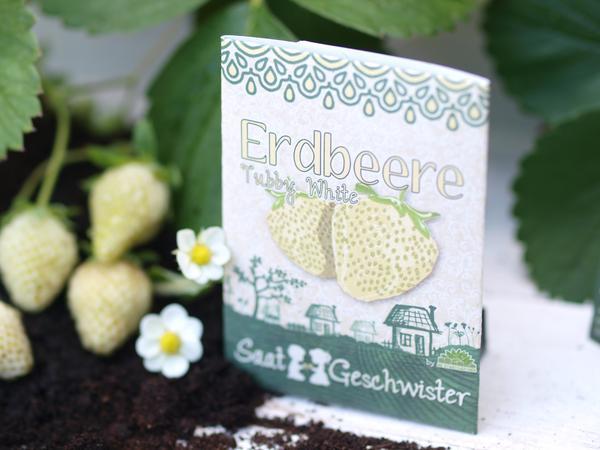 Image du produit Saatgeschwister Mini-jardin - Fraise, jaune (Graines de fruits)