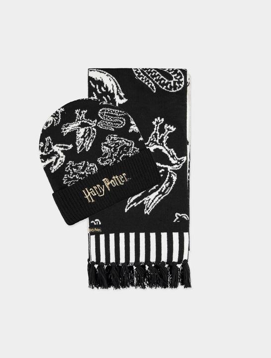 Produktbild Harry Potter: Wizards Unite Giftset (Beanie & Scarf) (One Size)