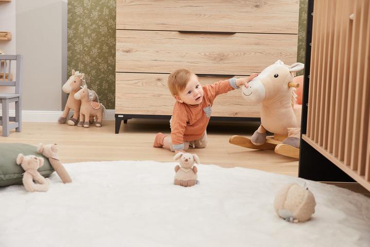 Productafbeelding Sterntaler GmbH Grijpspeeltje Hond Lucky