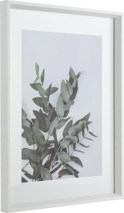 Immagine prodotto EGLO Renabie