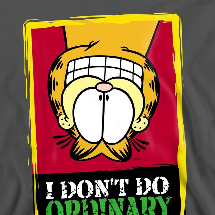 Actual product image Garfield Unisex Adult I Don't Do Ordinary Sweatshirt (L)