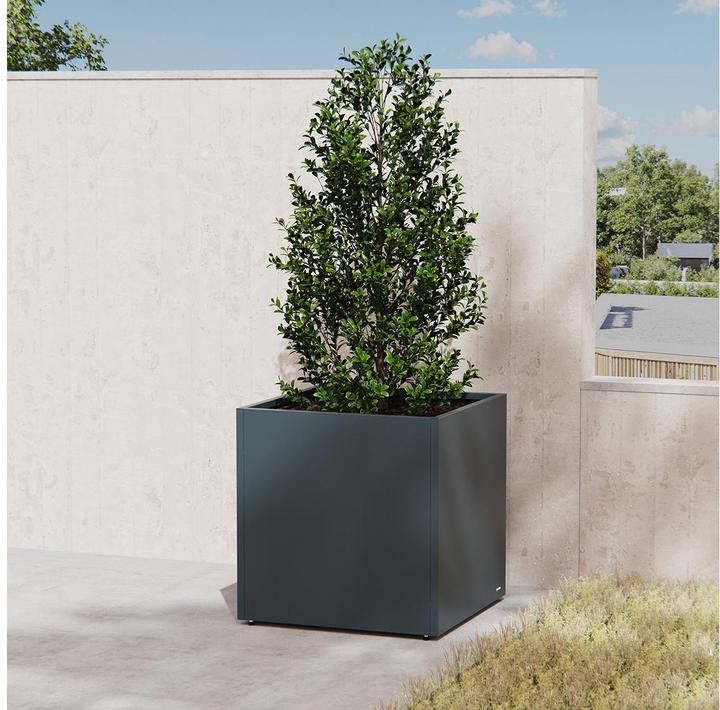 Immagine prodotto Herstera Cubo (60 cm)