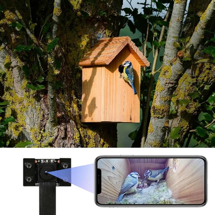 Wiwacam 4K Mini WLAN-Kamera für Nistkästen mit Nachtsicht