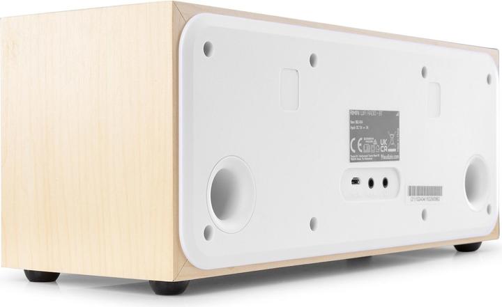 Actual product image Audizio Rimini (Internet radio, Bluetooth)