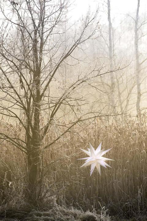 Actual product image Novaliv Poinsettia decorative star | 40cm WHITE | indoor and outdoor | for E14 bulb with thread