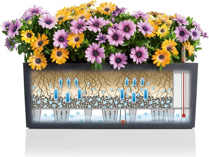 Productafbeelding Lechuza Balconera Kleur (50 x 19 x 19 cm)