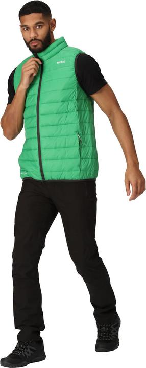 Actual product image Regatta Mens Marizion Quilted Gilet (S)
