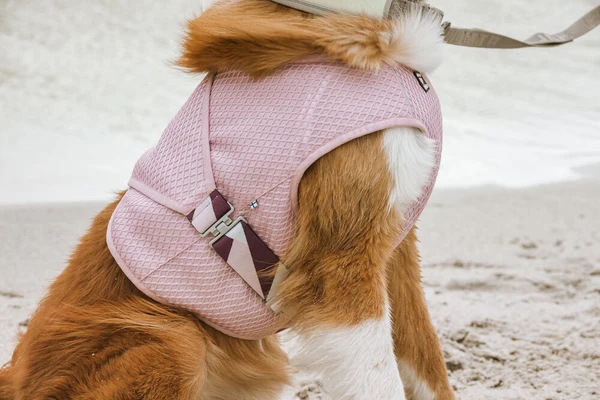 Produktbild Hurtta Cooling Wrap aquamarine (L, Hundemantel)