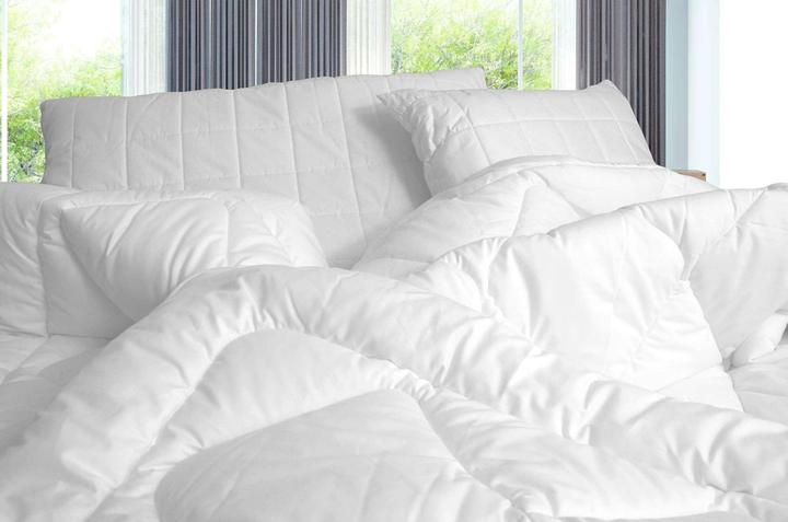 Image du produit Erzstef Objecta Oreiller cuit (65 x 65 cm)