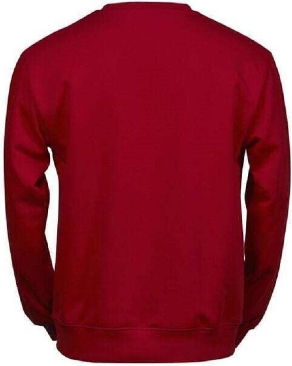 Actual product image Tee Jays Power sweatshirt (L)