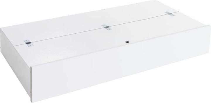 10 Buche weiss deckend