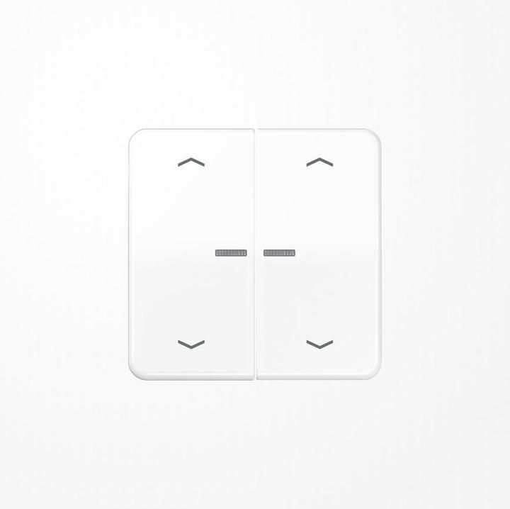 Image du produit JUNG BTCD17102PWW HOME Bouton-poussoir double