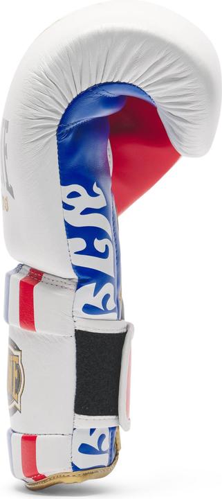 Actual product image Leone Boxhandschuhe THAI STYLE (12 OZ, One size)