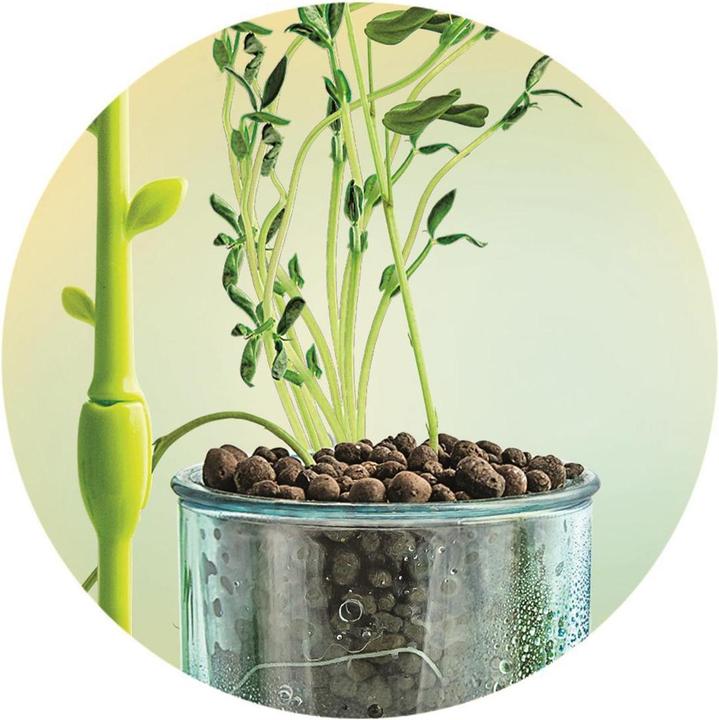 Produktbild Clementoni Botanique et Hydroponie F
