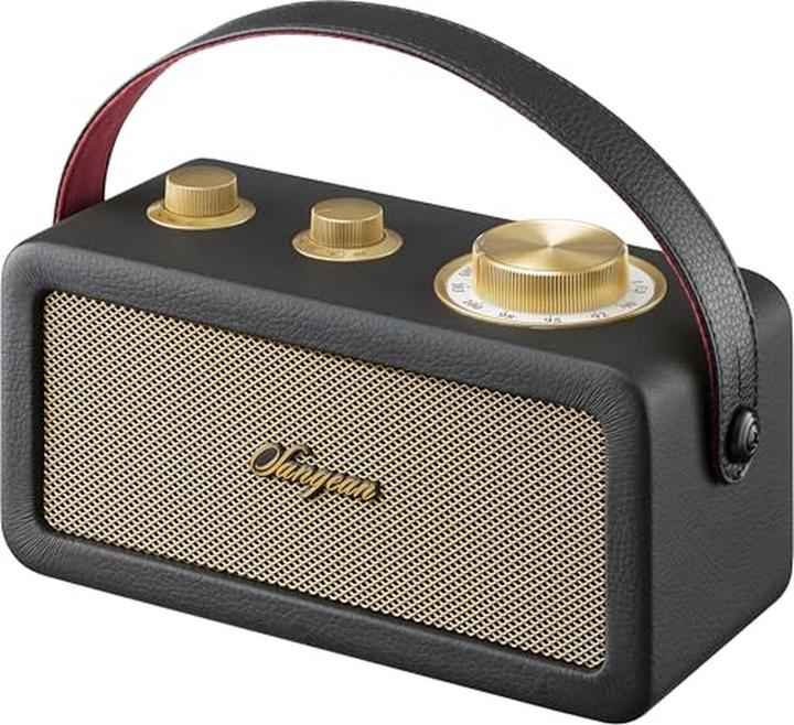 Produktbild Sangean RA-101 Akku-Radio FM Bluetooth®, AUX wiederaufladbar Schwarz, Gold (FM, Bluetooth)