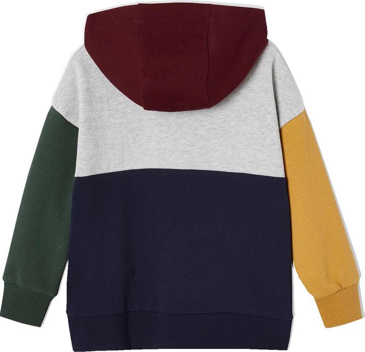 Produktbild Vertbaudet Jungen Kapuzensweatshirt im Colorblock-Style Basics mit Recycling-Polyester (98, 104)