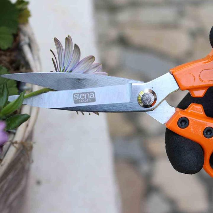 Productafbeelding Siena Garden Tuin- en Bloemenschaar 19cm