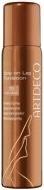 Actual product image Artdeco Leg Foundation (Self tanning spray, 100 ml)