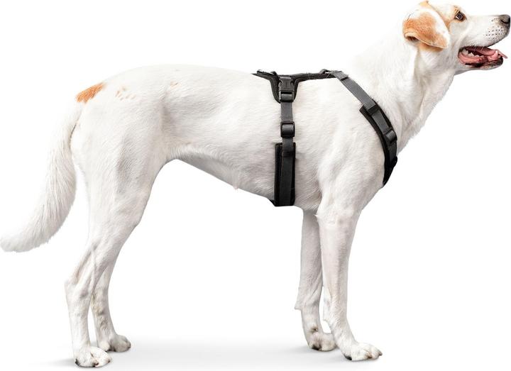 Produktbild Hunter Geschirr Maldon (M, Hund, Allgemein)