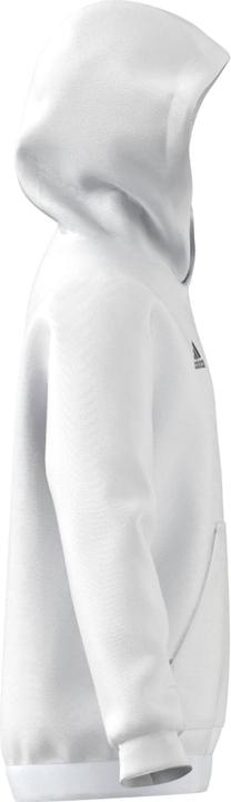 Produktbild adidas Entrada 22 Kapuzenpullover Kinder (176)