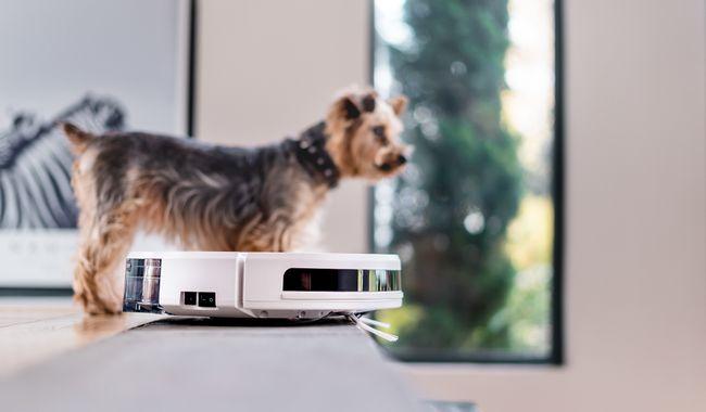 Actual product image Eziclean Aqua Xpert S450 Animal (Vacuum mopping robot)