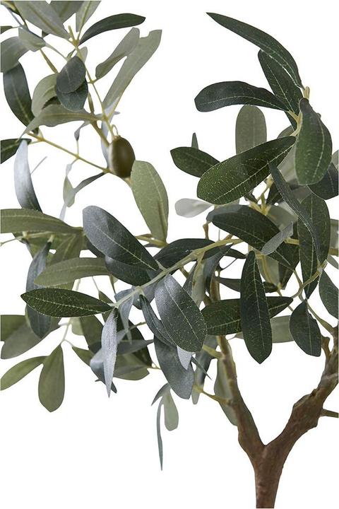 Image du produit House Nordic Olive (61 cm)