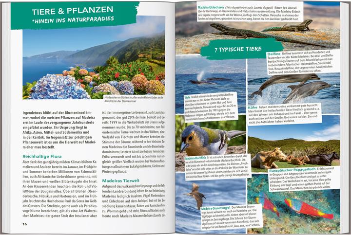 Immagine prodotto OUTDOOR GUIDE Reiseführer Madeira (Tedesco, Sven Bremer, 2024)