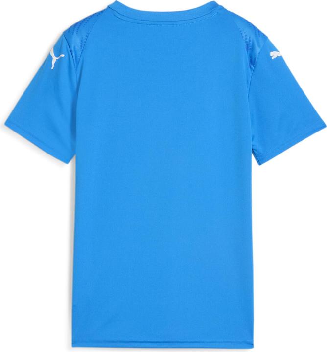 Produktbild Puma teamULTIMATE Jersey Jr (164)