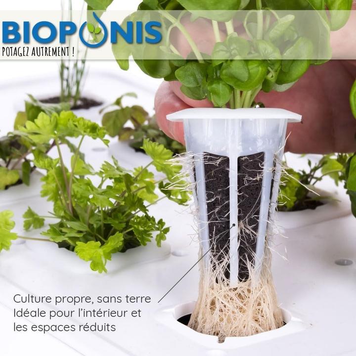 Immagine prodotto Bioponis Gemüsegarten