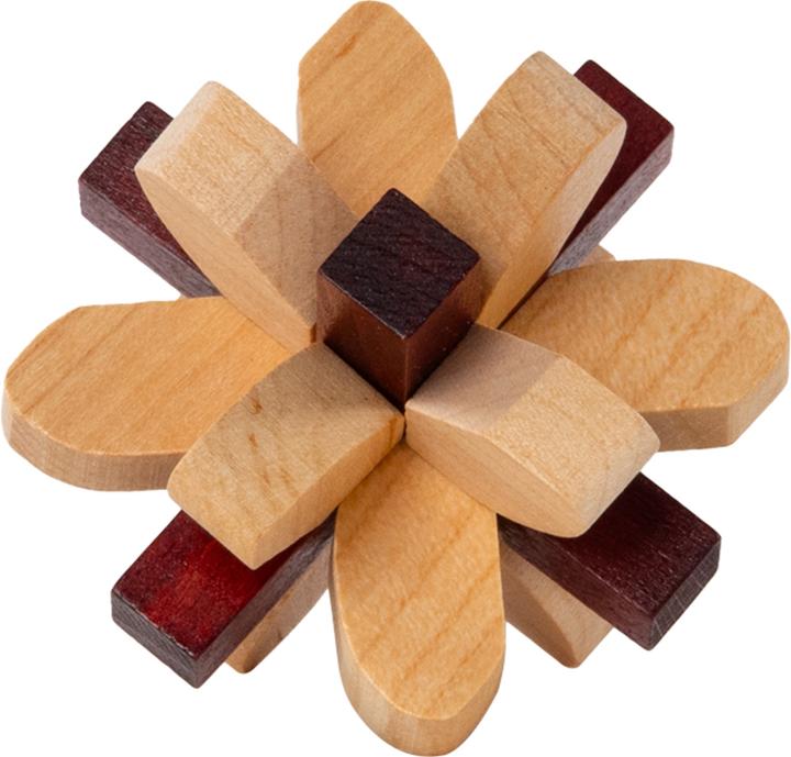 Immagine prodotto Recent Toys Puzzle del cervello n. 2 Lobo parietale (Tedesco)