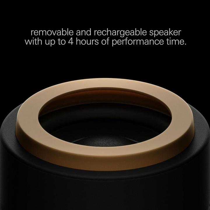 Actual product image Teenage Engineering Synthesizer Gadget CH-8 leila