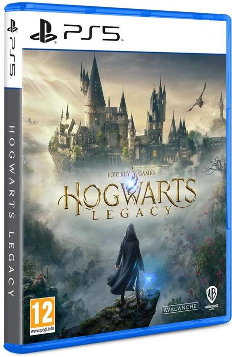 Image du produit WB Hogwarts Legacy (PS5, IT)