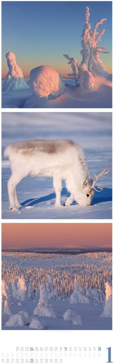 Image du produit Nature Triplet-Kalender 2026 (33 x 100 cm, Couverture rigide, Français, Allemand, Anglais)