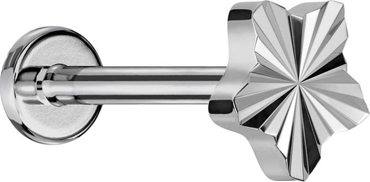 Immagine prodotto Star Piercing Micro labret filo interno argento disco taglio diamante stella argento (senza ottone, Titanio)