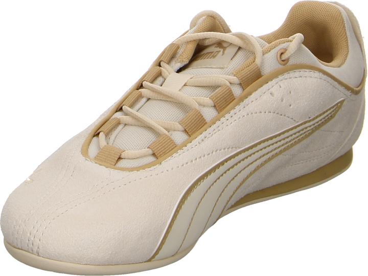 Alpine Snow-Sand Dune