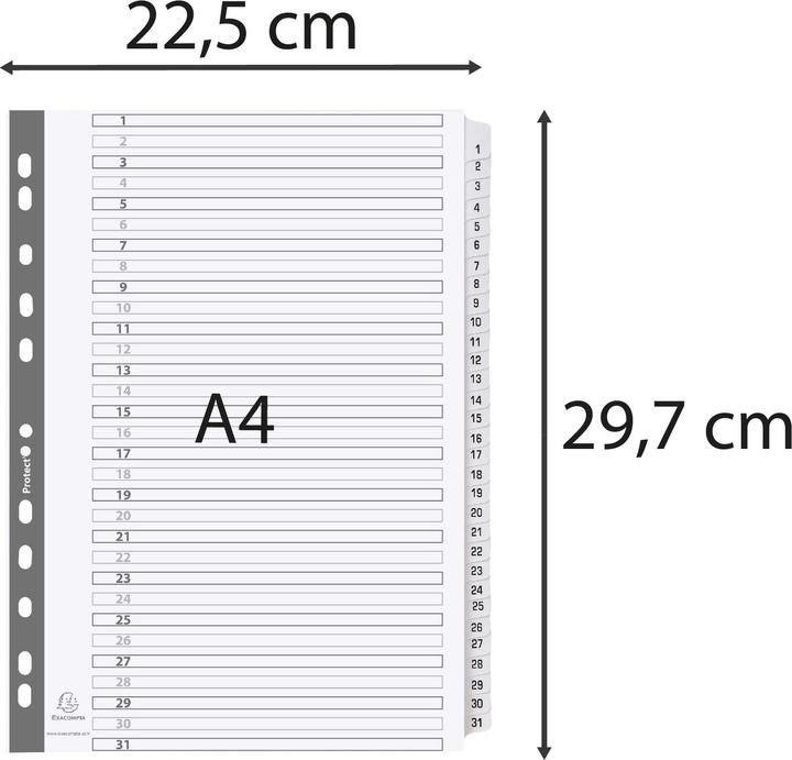 Actual product image Exacompta Cardboard register - white