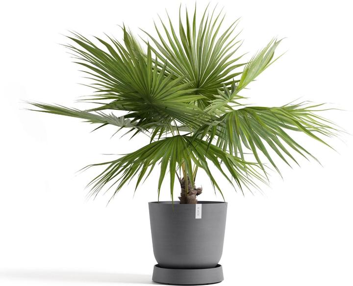 Image du produit Ecopots Saucer Wheels Oslo