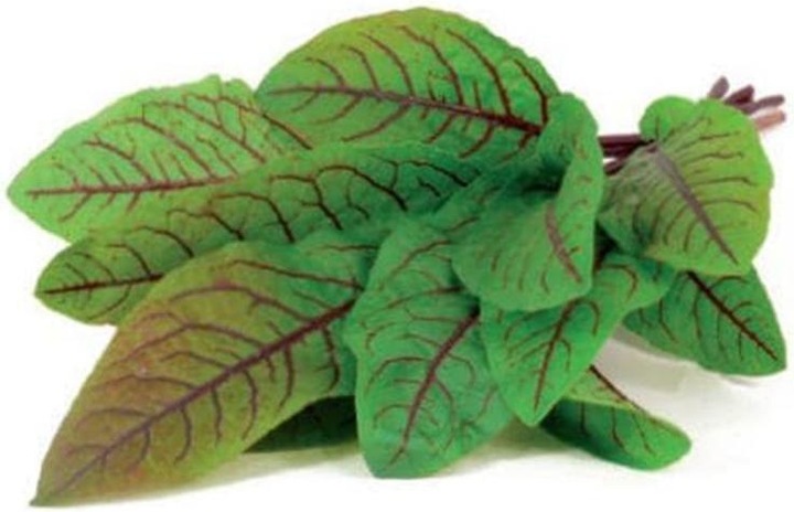 Produktbild Click and Grow Samen Sauerklee (Pflanzensamen)