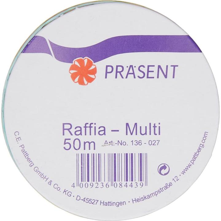 Produktbild Pattberg Geschenkband Raffia Multi 50 m, Mehrfarbig (1x)