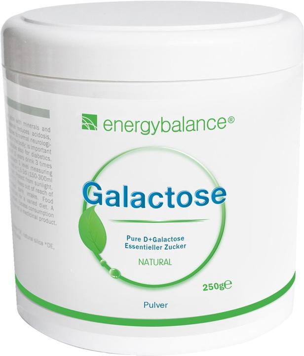 Image du produit Energybalance Galactose hochreines Pulver (1 pcs, Poudre, 250 g)