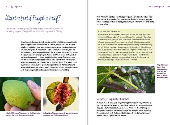 Actual product image Feigen aus dem eigenen Garten (German, Christoph Seiler, 2022)