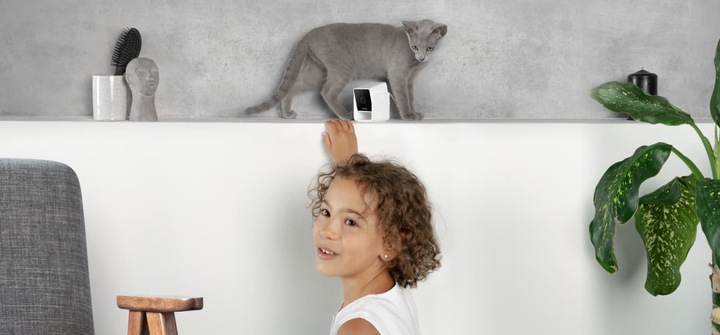 Immagine prodotto Petcube Telecamera per animali domestici (Catmint giocattolo)