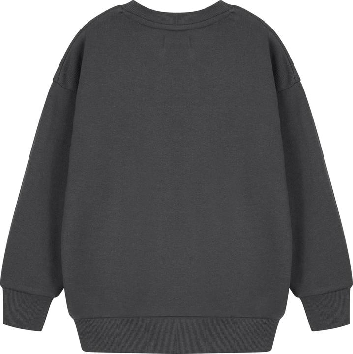 Produktbild Disney Frozen Sweatshirt Mädchen (158, 164)