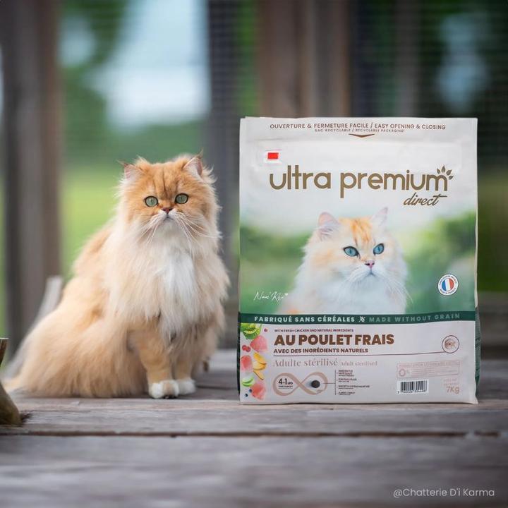Ultra Premium Direct Sensitive Adult Cat - Fresh Chicken (Adulte, 7000 g)