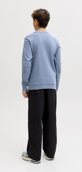 Produktbild Jack & Jones Jjearchive Graphic Sweat Cn Sn Jnr (152)