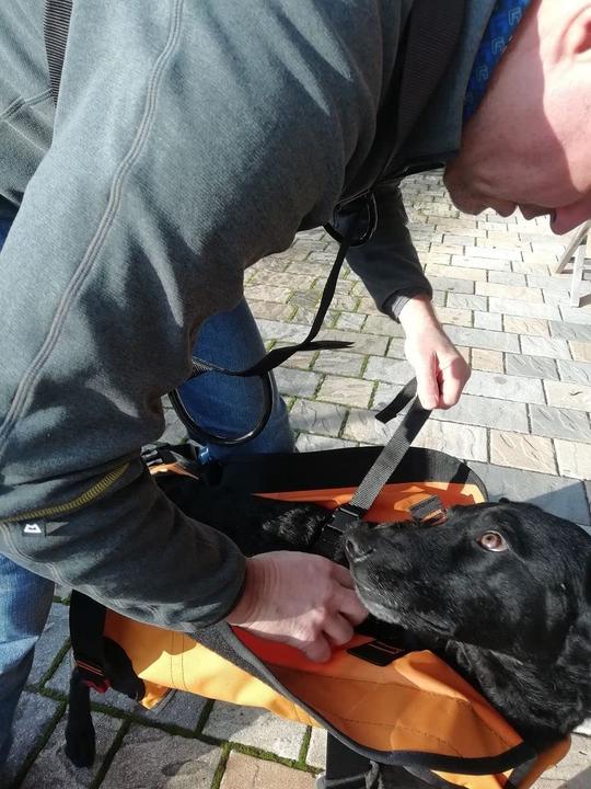 Produktbild Singing Rock Rettungshundegeschirr Laika (Hund, Allgemein)