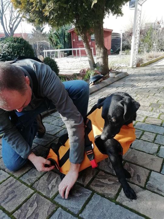 Produktbild Singing Rock Rettungshundegeschirr Laika (Hund, Allgemein)