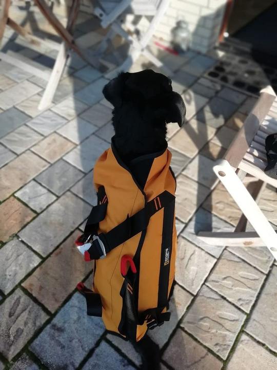 Produktbild Singing Rock Rettungshundegeschirr Laika (Hund, Allgemein)