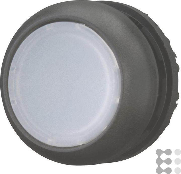 Actual product image Eaton M22S-DL-W illuminated pushbutton 216924 flat white momentary 216924